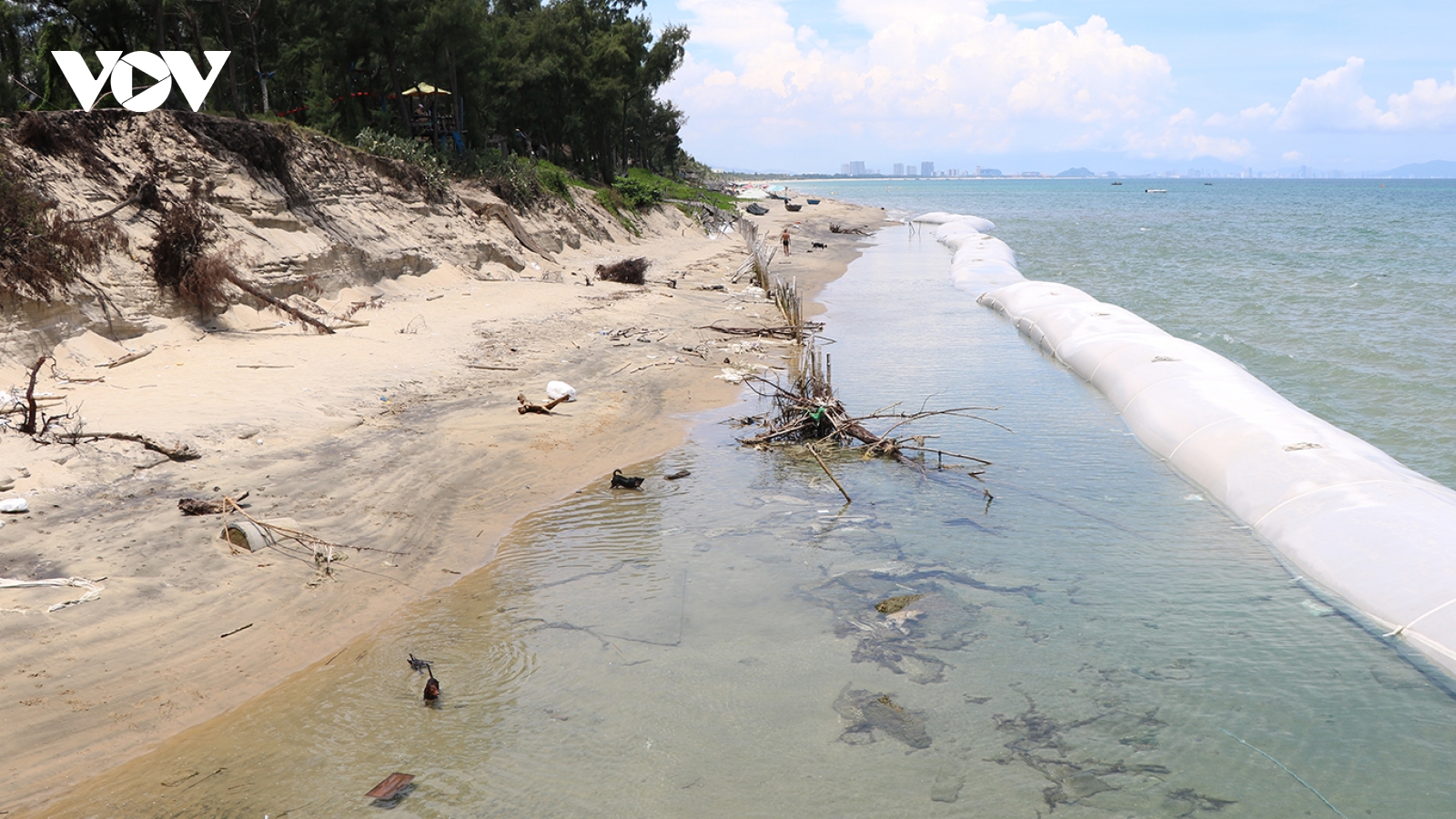 Đà Nẵng tìm giải pháp tôn tạo, ổn định bờ biển